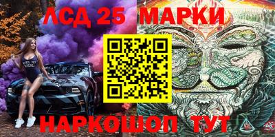гашик Можга